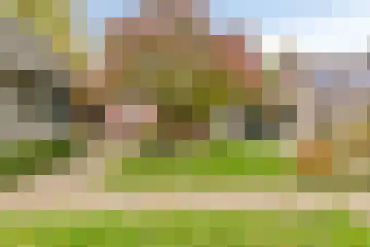 De Houtert 3 Lage Mierde thumbnail 50