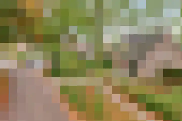 De Houtert 3 Lage Mierde thumbnail 51