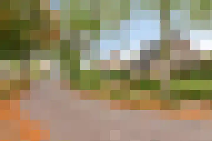 De Houtert 3 Lage Mierde thumbnail 52