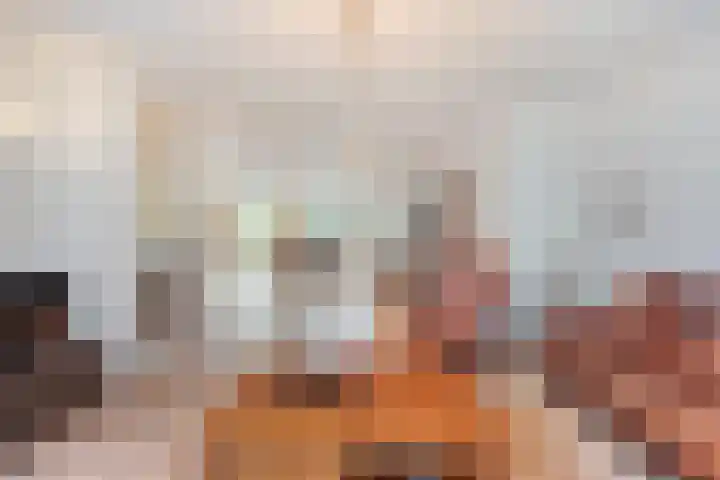 De Houtert 3 Lage Mierde thumbnail 9