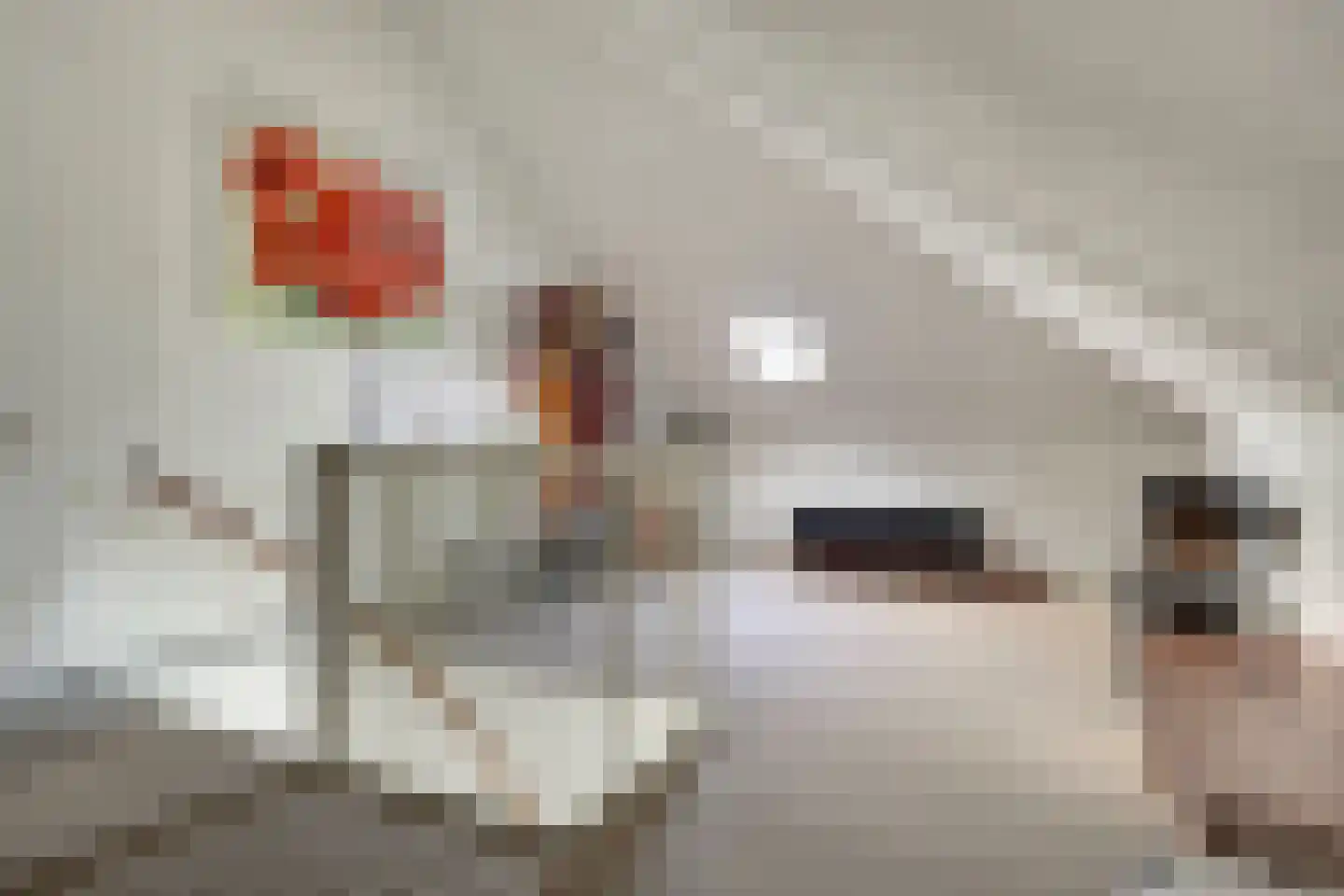 De Houtlandessloot 5 Obdam thumbnail 41