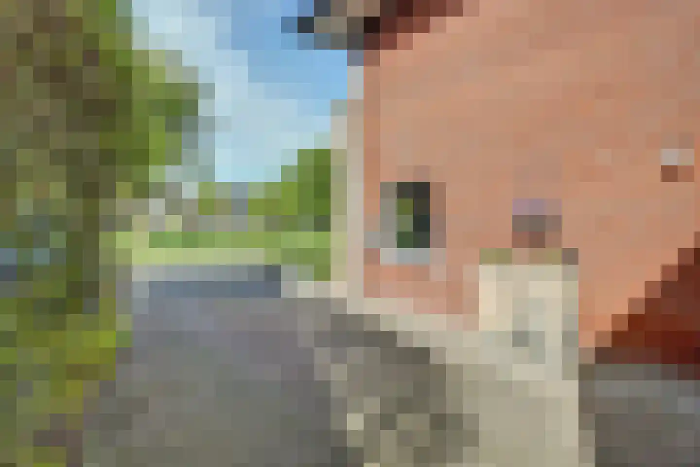 De Houtlandessloot 5 Obdam thumbnail 53