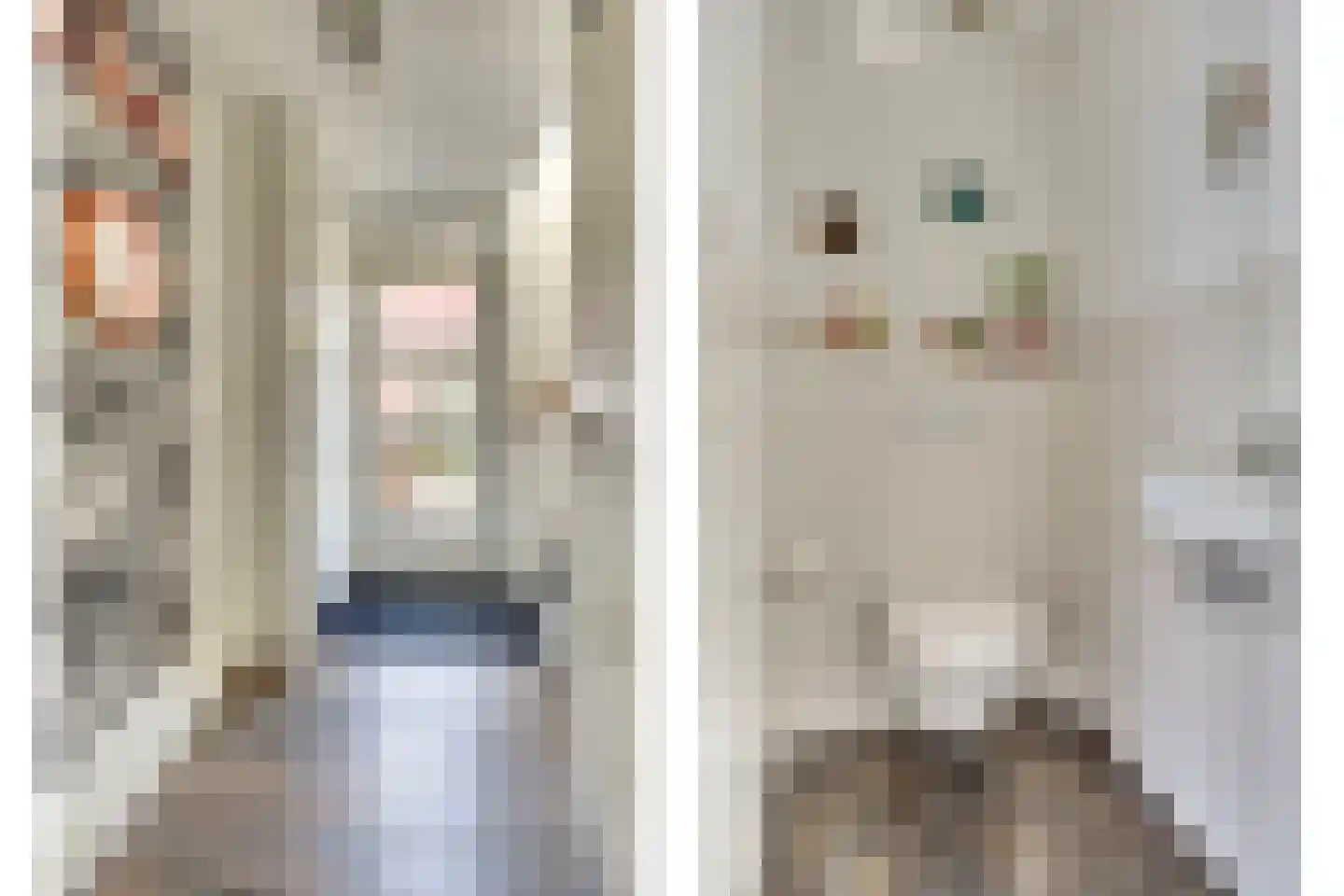 De Houtlandessloot 5 Obdam thumbnail 8