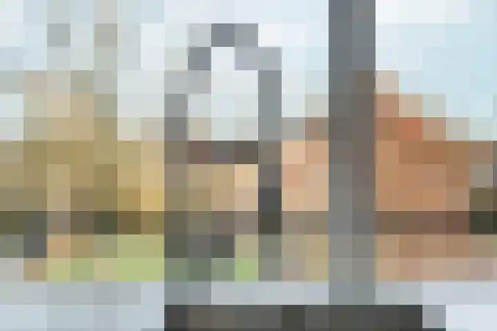 De Houtmanstraat 107 Arnhem thumbnail 19