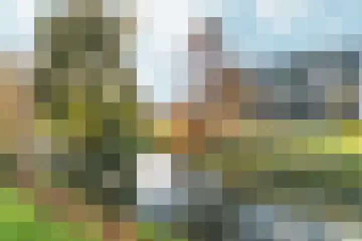 De Houtmanstraat 107 Arnhem thumbnail 48