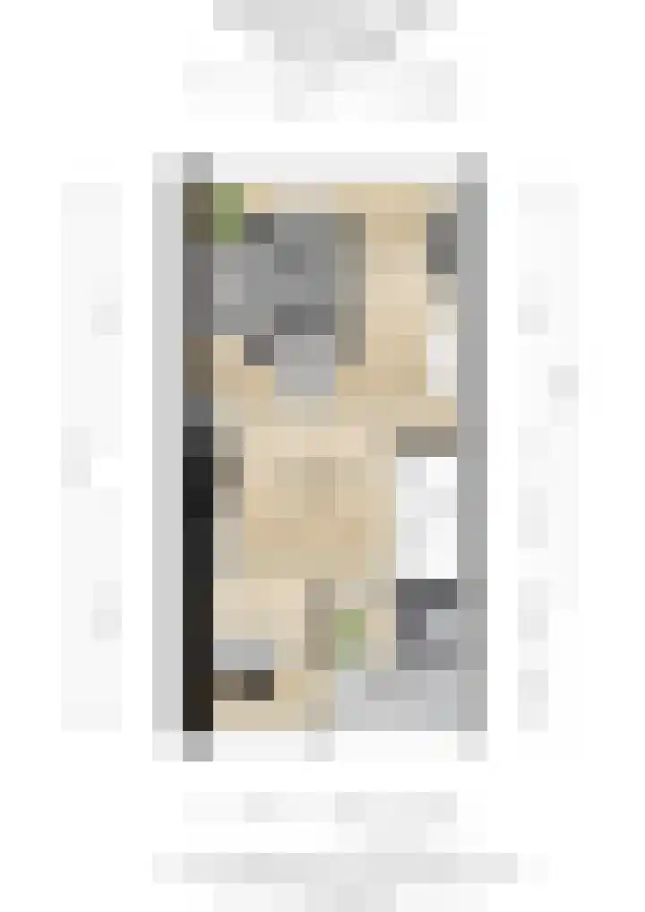 De Houtmanstraat 113 Arnhem thumbnail 46