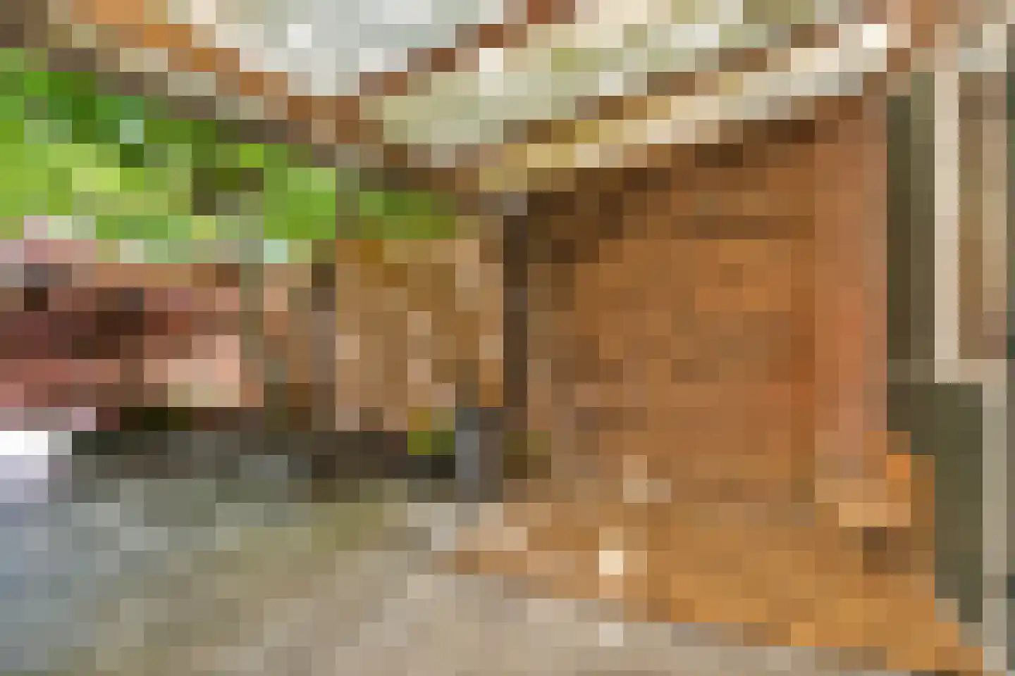 De Houtmanstraat 127 Arnhem thumbnail 30