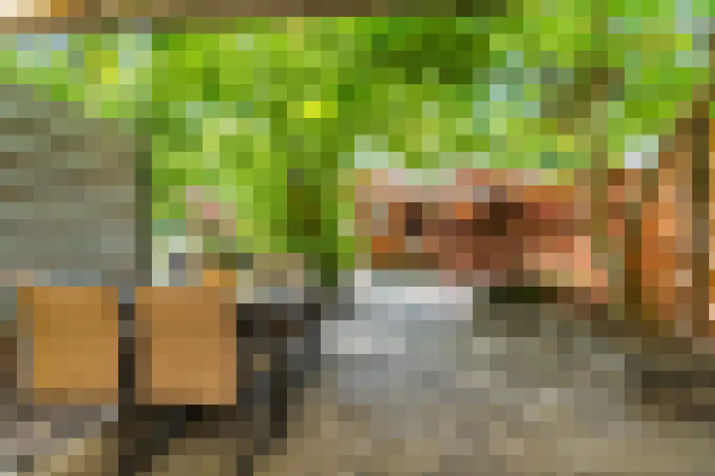 De Houtmanstraat 127 Arnhem thumbnail 31