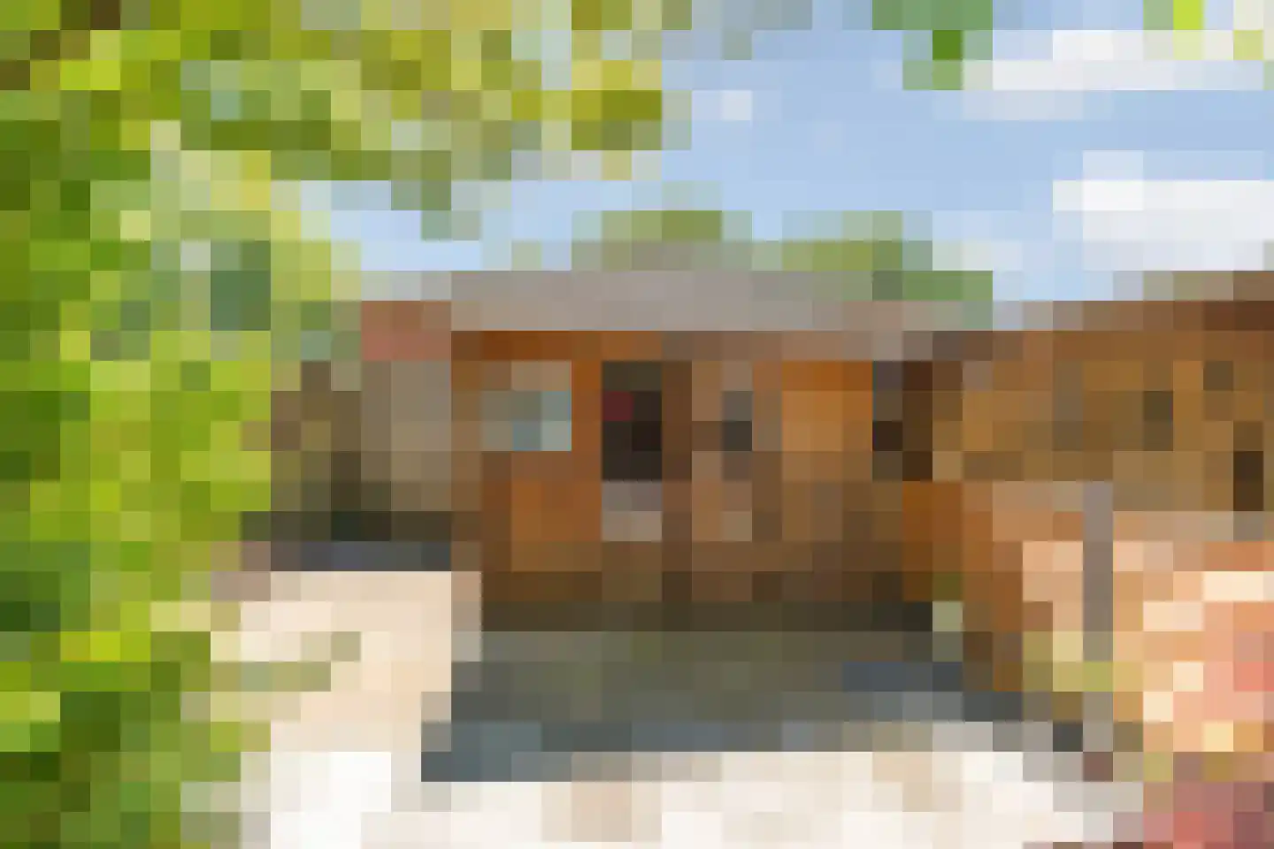 De Houtmanstraat 127 Arnhem thumbnail 32