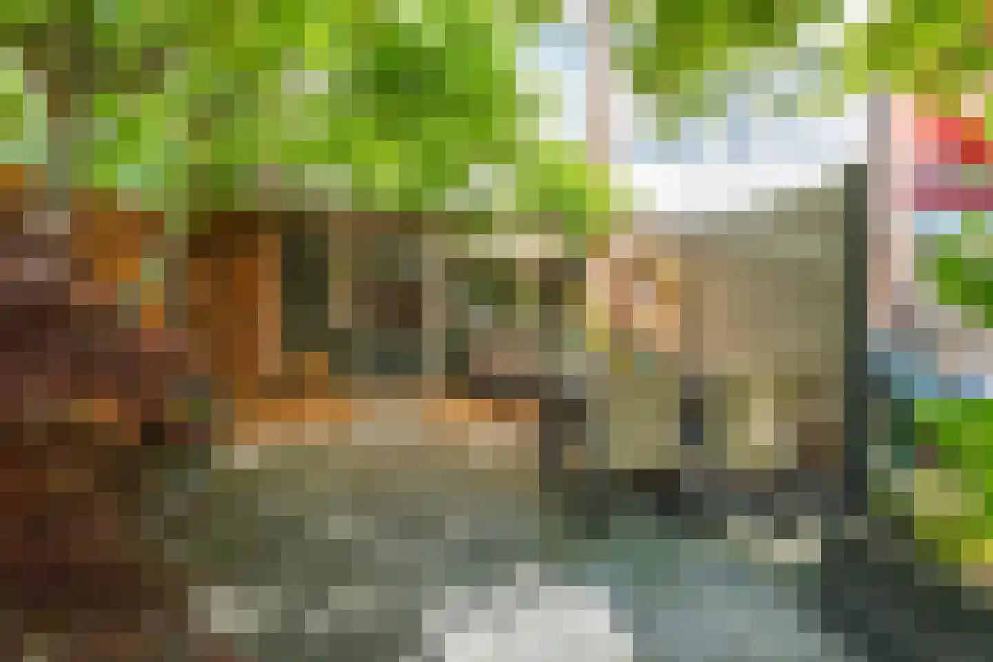 De Houtmanstraat 127 Arnhem thumbnail 33