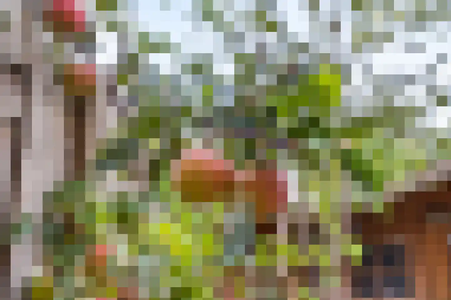 De Houtmanstraat 131 Arnhem thumbnail 32