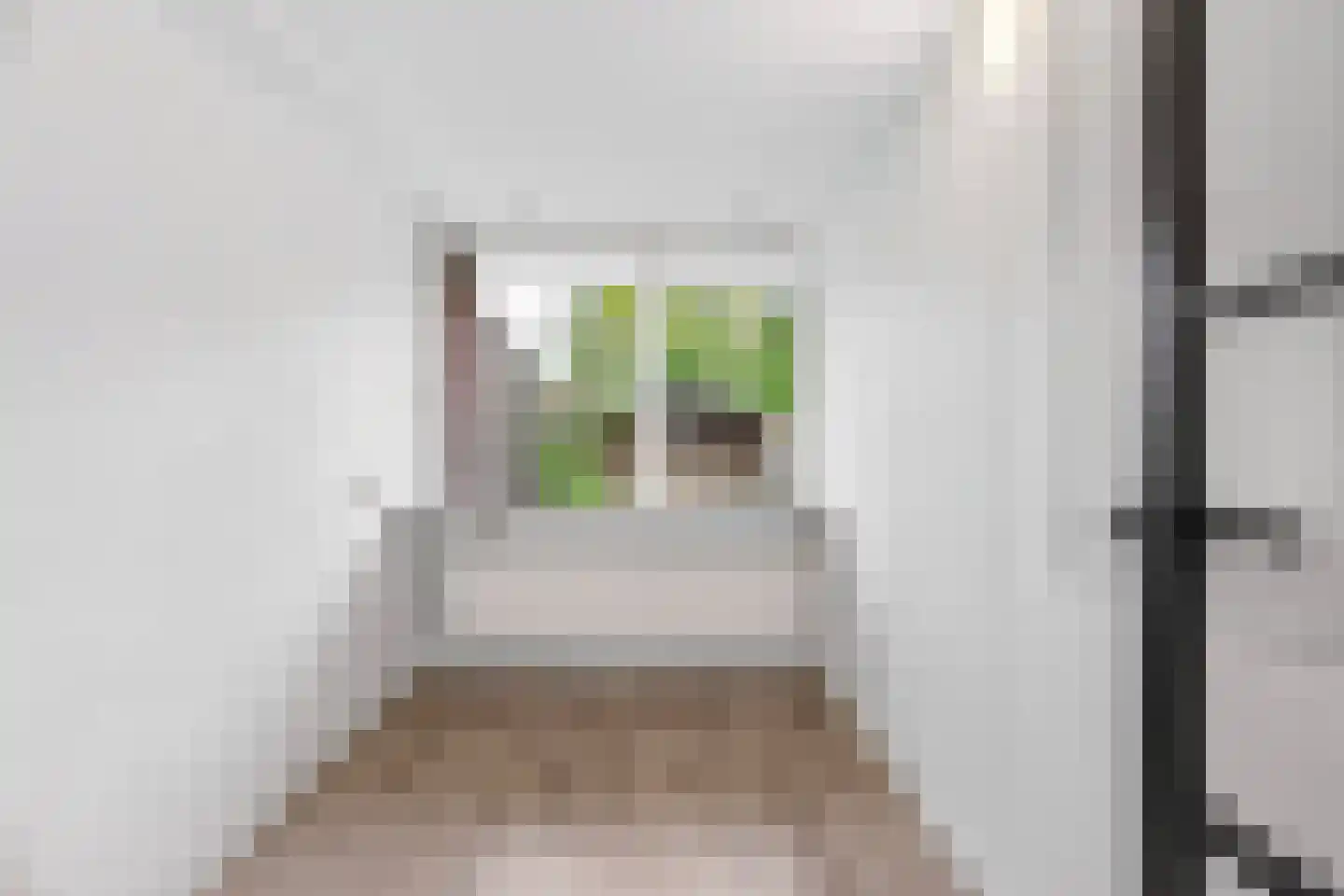 De Houtmanstraat 131 Arnhem thumbnail 6