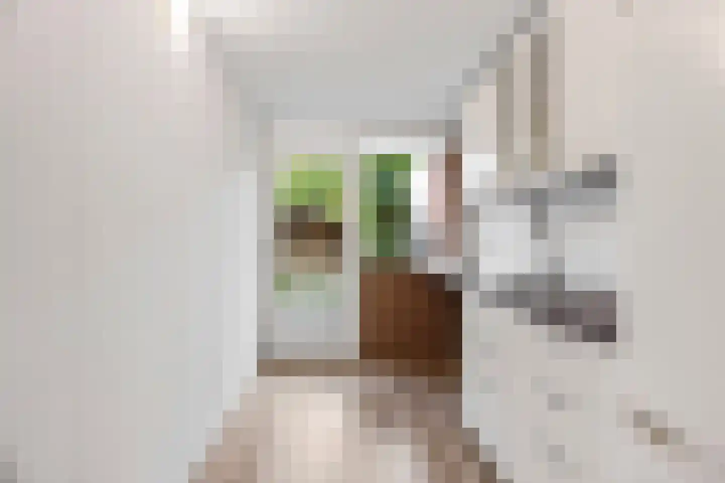 De Houtmanstraat 131 Arnhem thumbnail 9