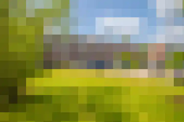De Houtmanstraat 42 Arnhem thumbnail 30
