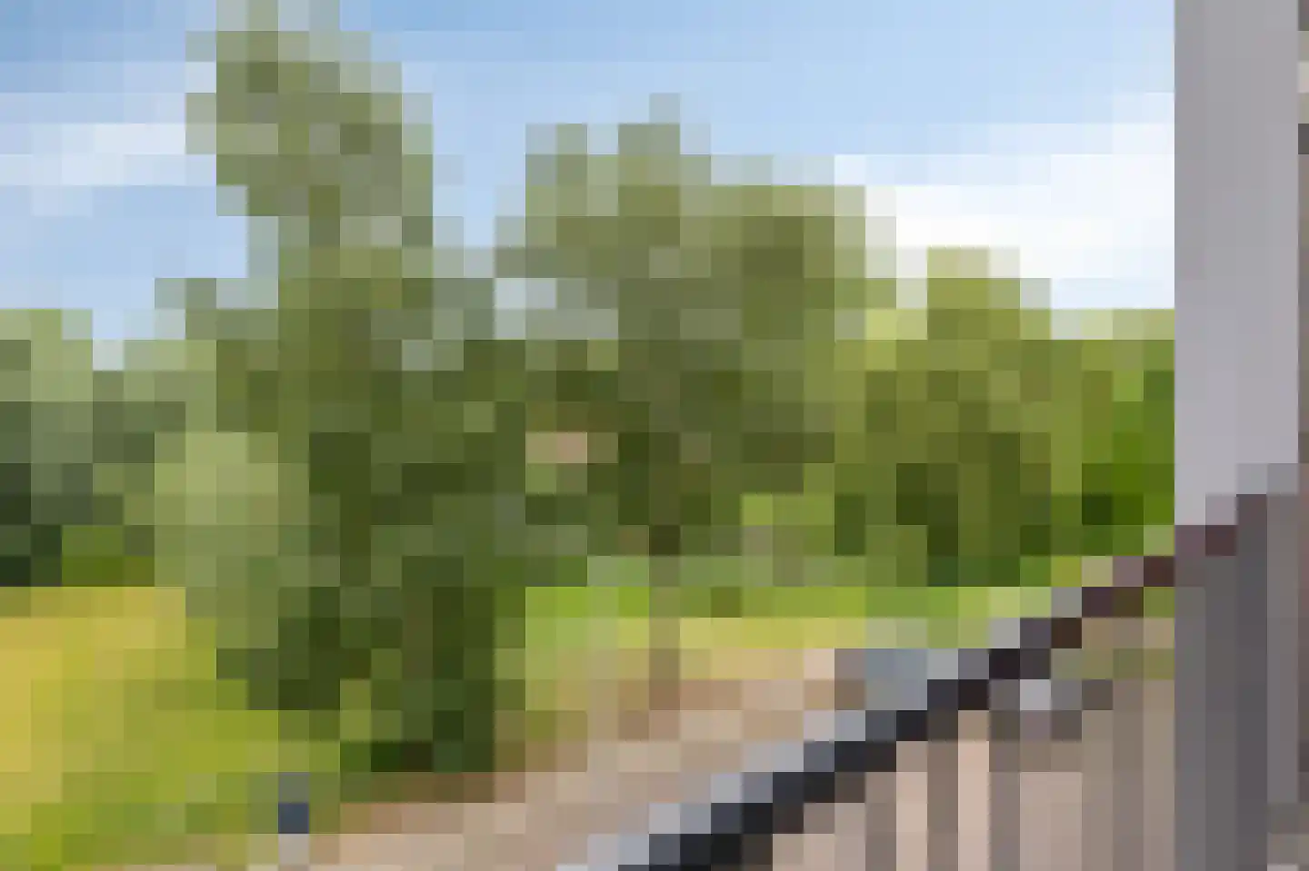 De Houtmanstraat 52 Arnhem thumbnail 17