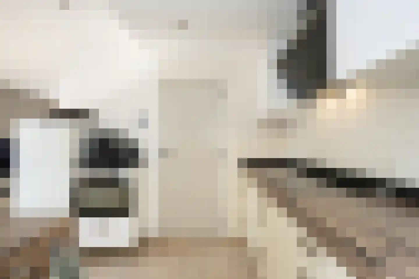 De Houtmanstraat 57 Oudeschild thumbnail 14
