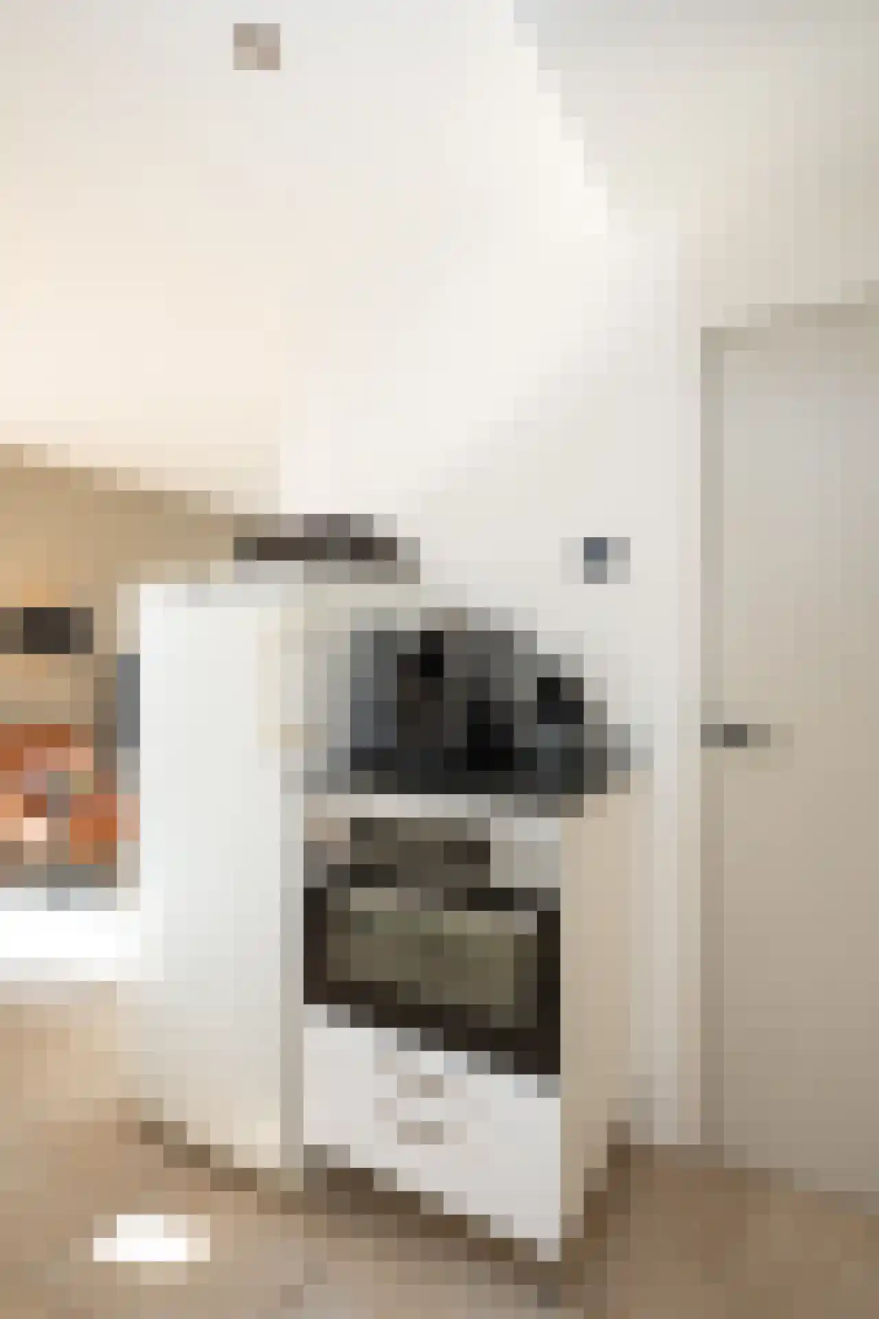 De Houtmanstraat 57 Oudeschild thumbnail 15