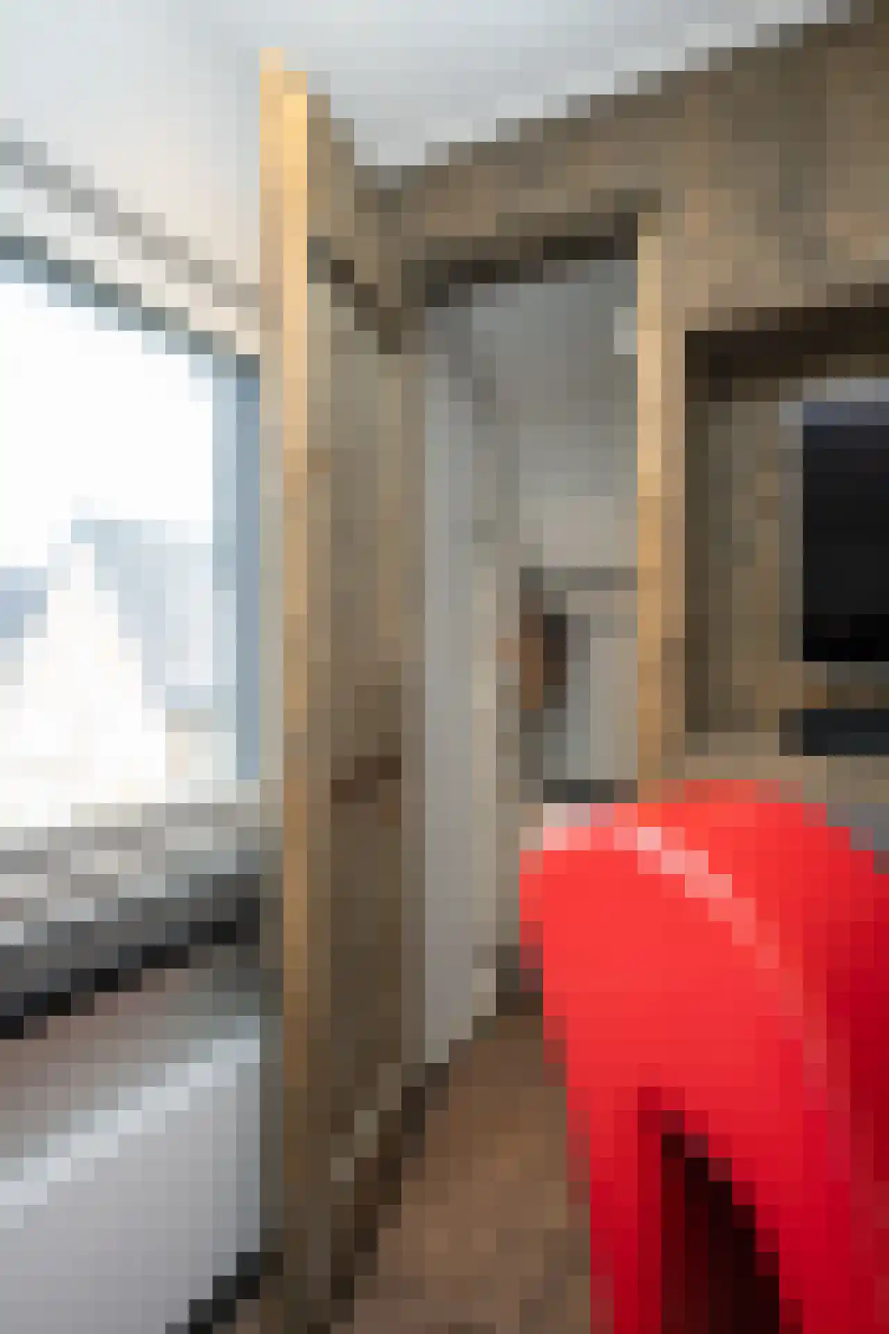 De Houtmanstraat 57 Oudeschild thumbnail 36