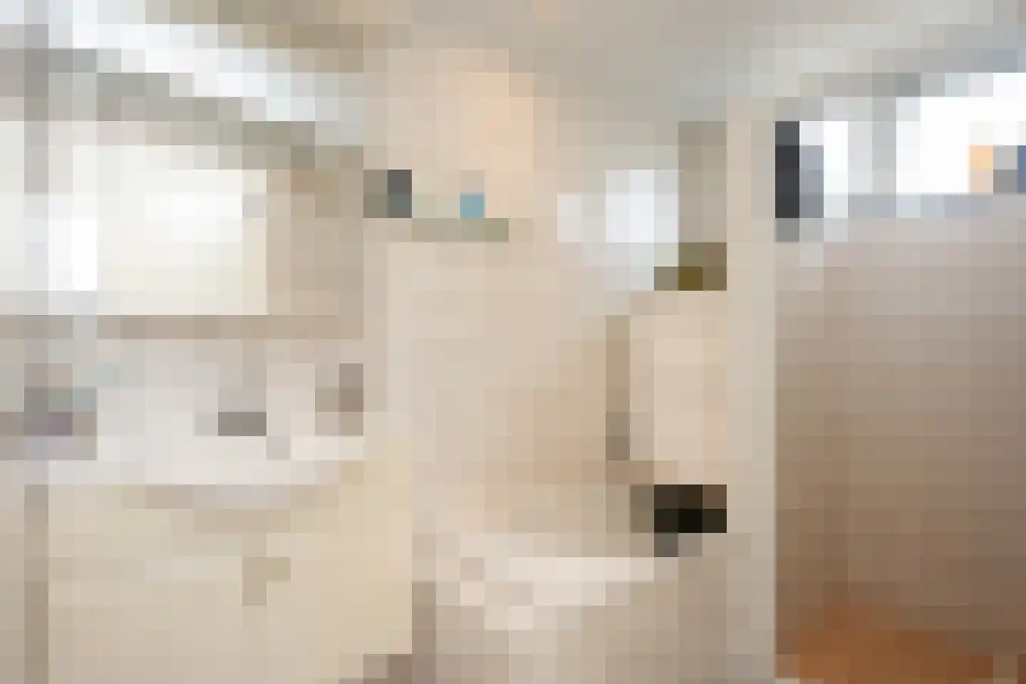De Houtmanstraat 57 Oudeschild thumbnail 4