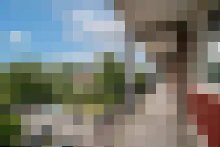 De Houtmanstraat 62 Arnhem thumbnail 18