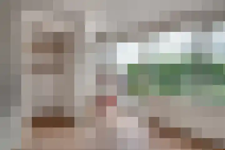 De Houtmanstraat 62 Arnhem thumbnail 4