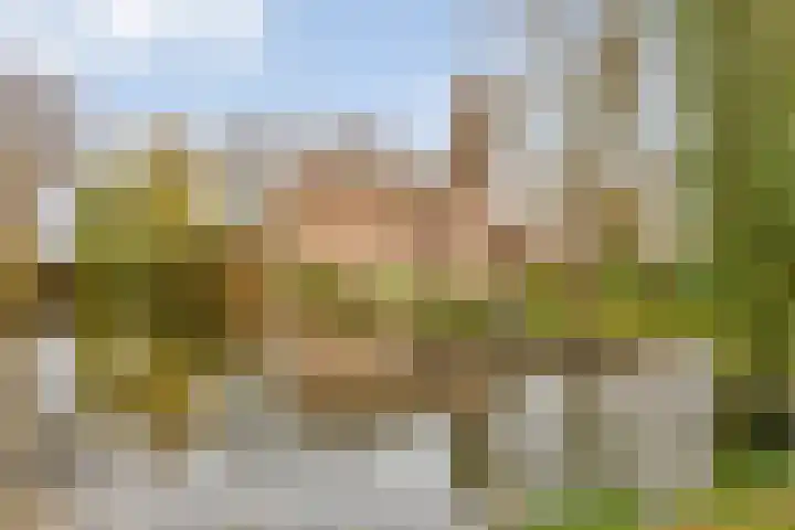 De Houtmanstraat 68 Arnhem thumbnail 42