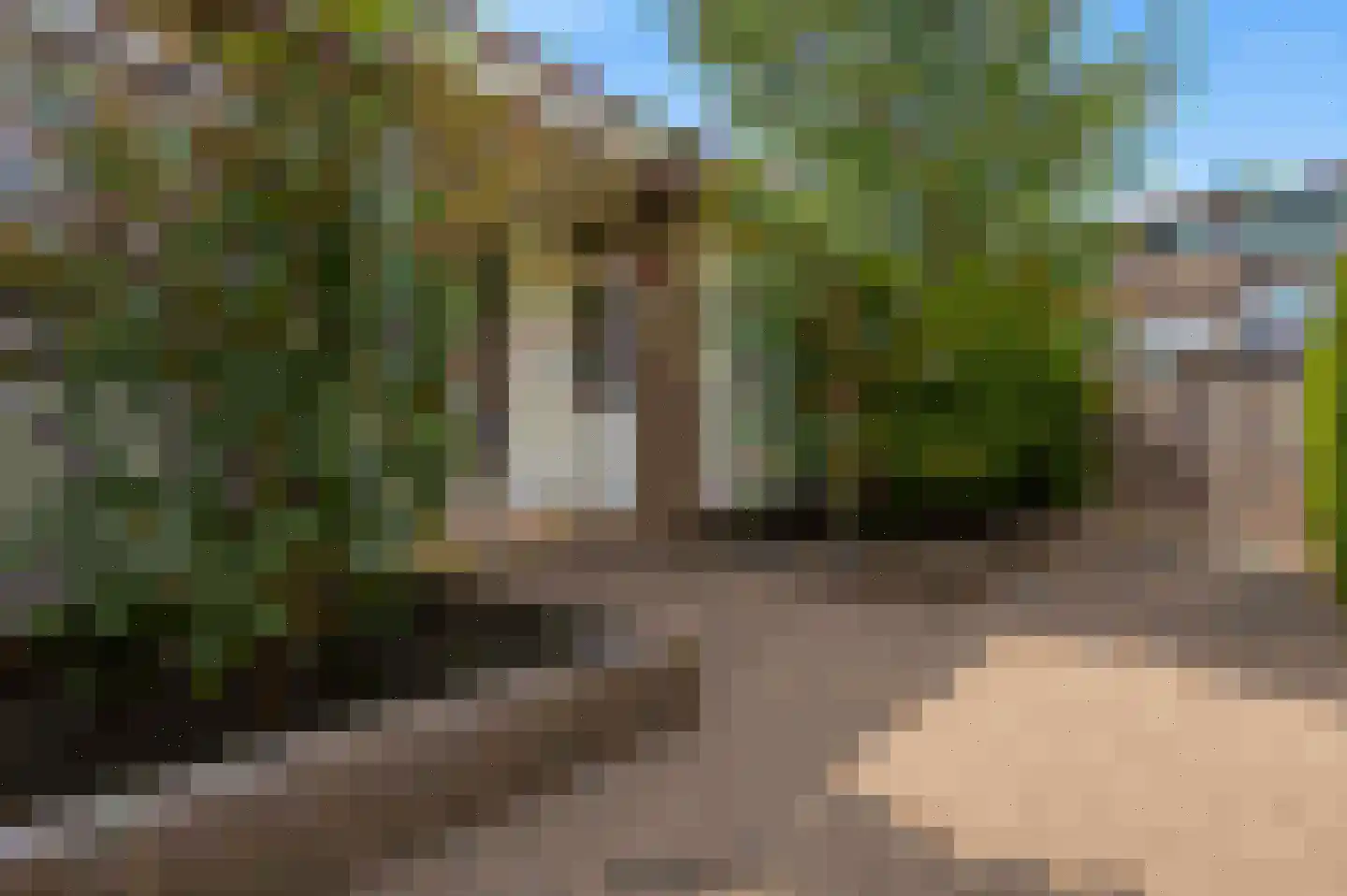 De Houtmanstraat 80 Arnhem thumbnail 5