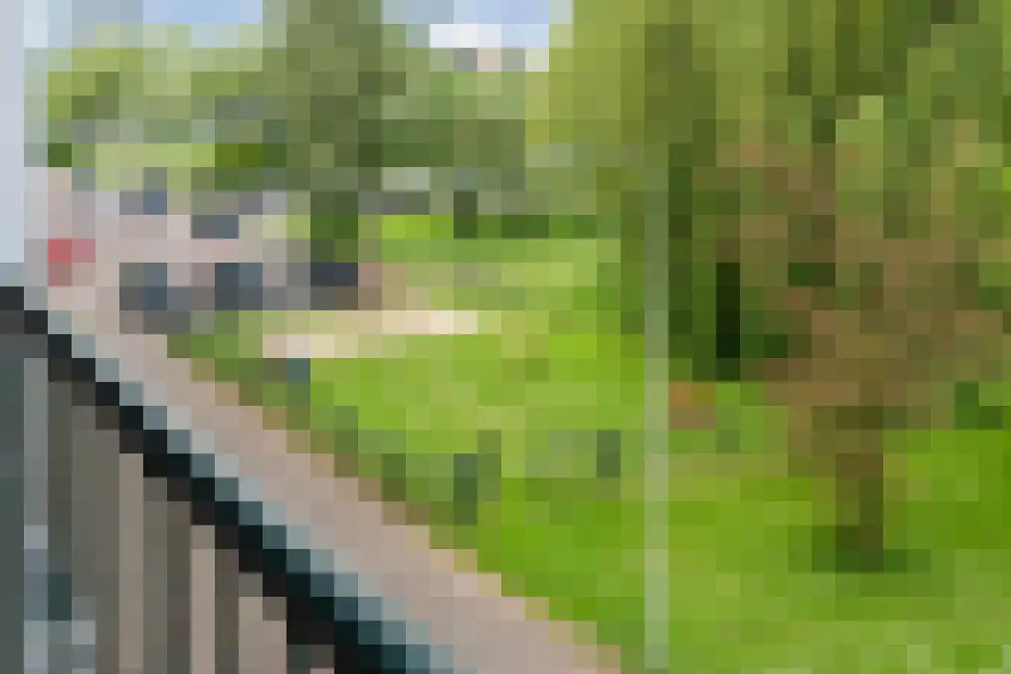 De Houtmanstraat 83 Arnhem thumbnail 39