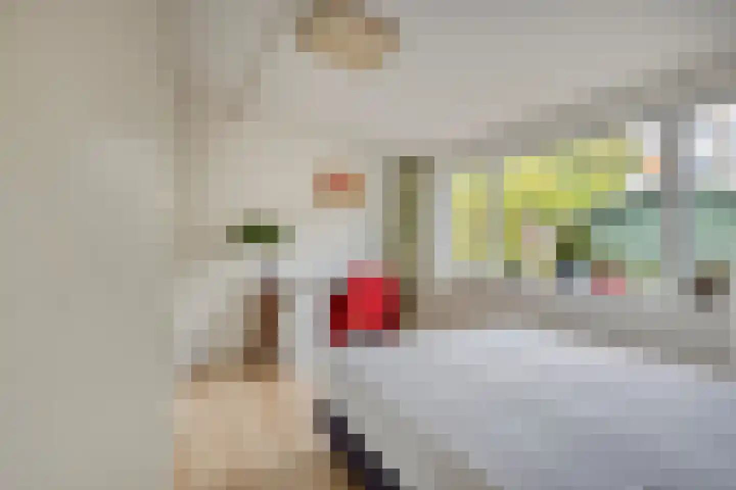 De Houtmanstraat 9 Arnhem thumbnail 23