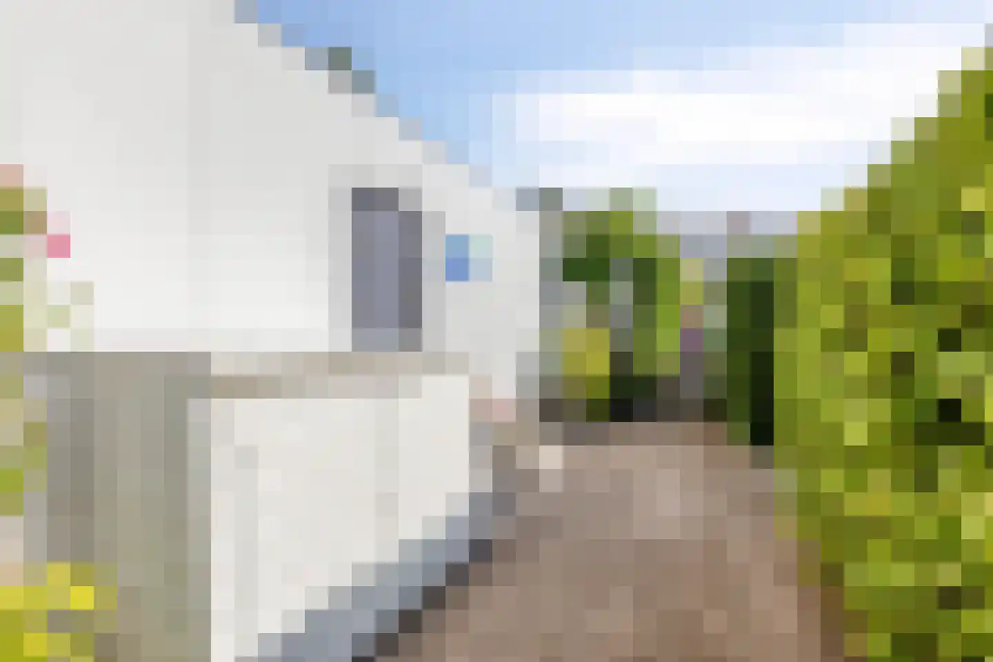 De Houtmanstraat 9 Arnhem thumbnail 30
