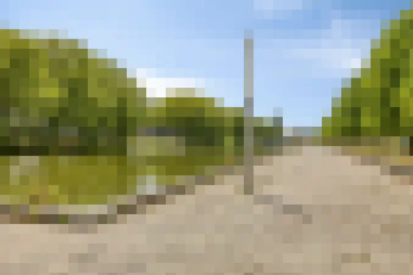 De Houtmanstraat 9 Arnhem thumbnail 40