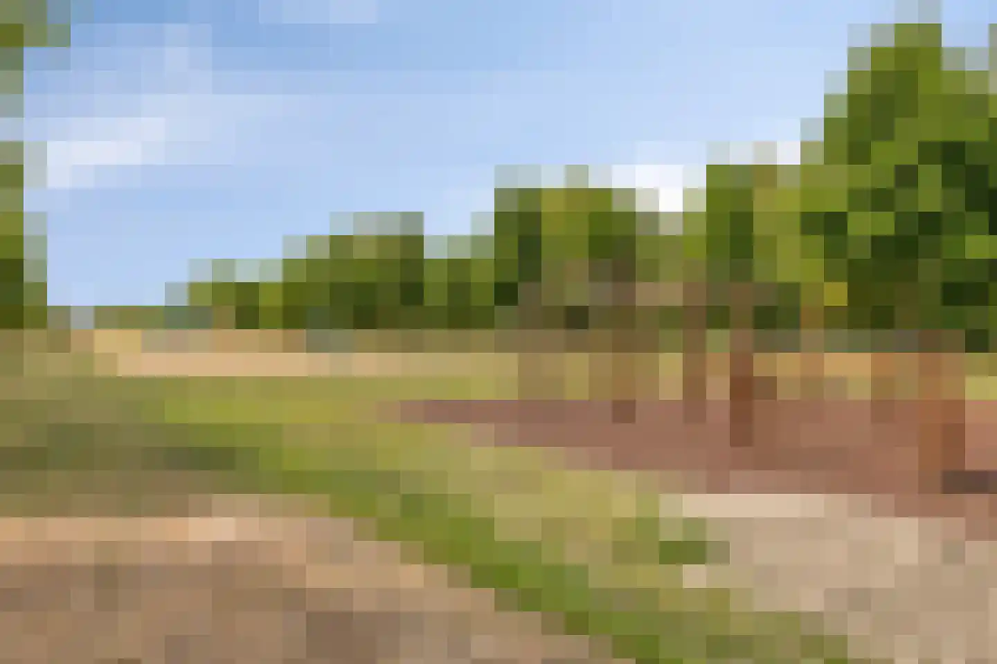 De Houtmanstraat 9 Arnhem thumbnail 41