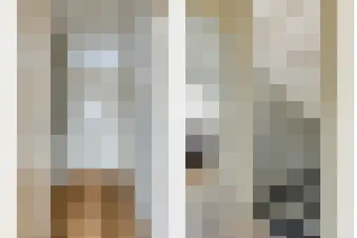 De Houtmanstraat 91 Arnhem thumbnail 46