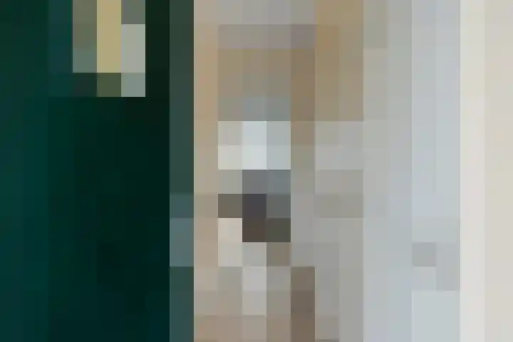 De Houtmanstraat 91 Arnhem thumbnail 6