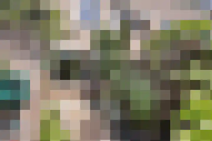 De Houtsnip 10 Almelo thumbnail 26