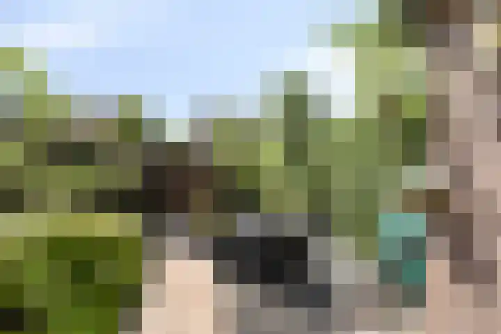 De Houtsnip 10 Almelo thumbnail 27