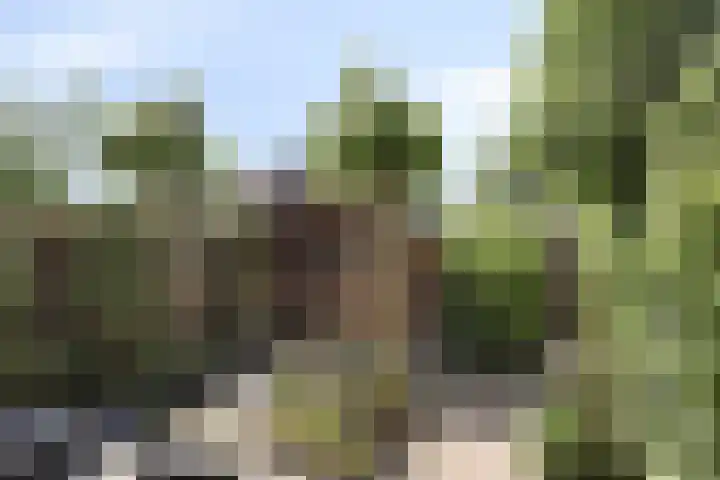 De Houtsnip 10 Almelo thumbnail 28