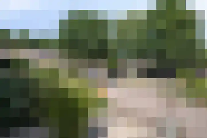 De Houtsnip 10 Almelo thumbnail 29