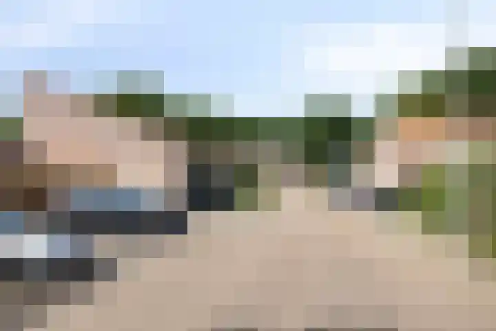 De Houtsnip 10 Almelo thumbnail 30