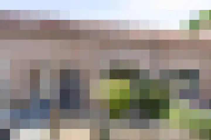 De Houtsnip 10 Almelo thumbnail 36
