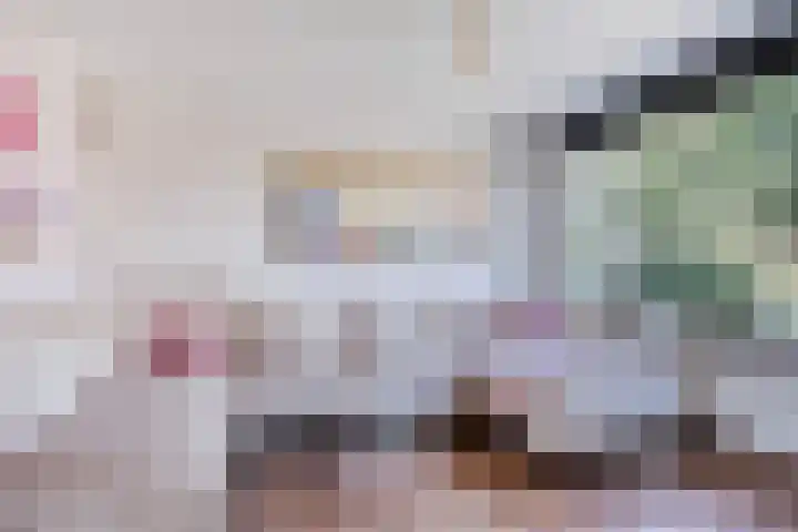 De Houtsnip 10 Almelo thumbnail 8