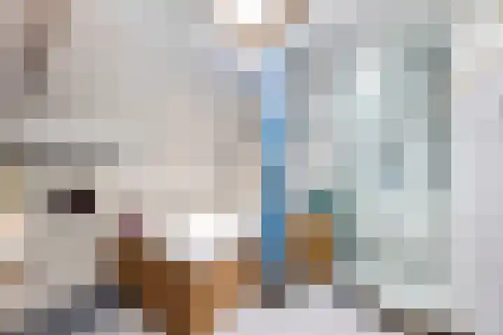 De Houtsnip 24 Almelo thumbnail 20