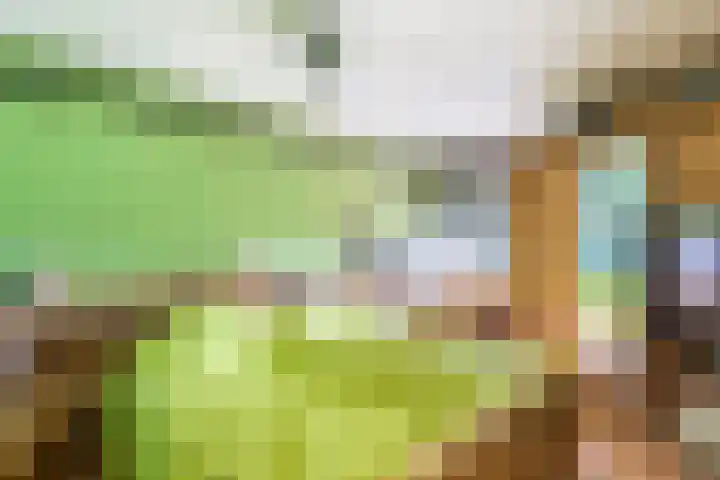 De Houtsnip 24 Almelo thumbnail 23