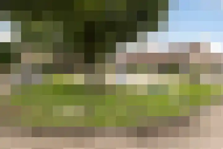De Houtsnip 24 Almelo thumbnail 26