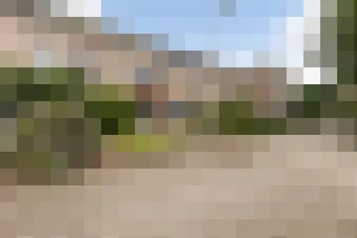 De Houtsnip 24 Almelo thumbnail 5
