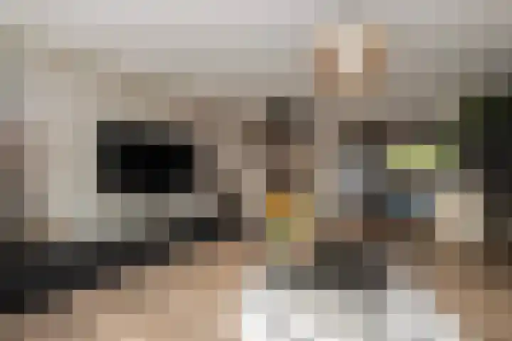 De Houtsnip 7 Dronten thumbnail 10