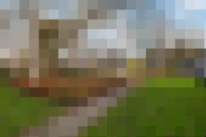 De Houtsnip 7 Dronten thumbnail 28