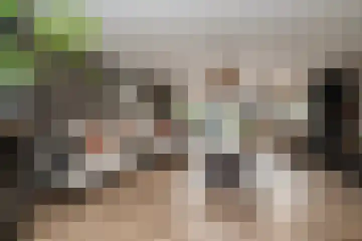 De Houtsnip 7 Dronten thumbnail 4