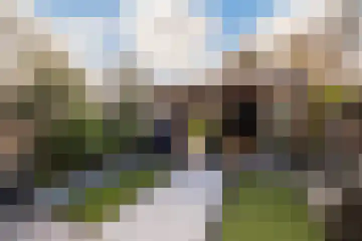 De Houtsnip 7 Dronten thumbnail 5