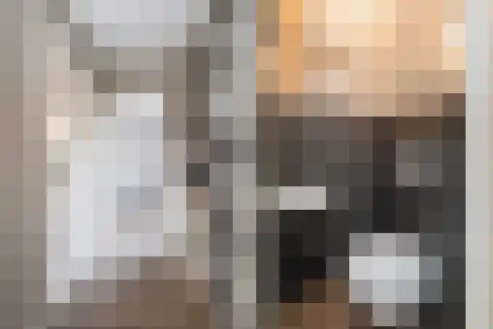 De Houtsnip 7 Dronten thumbnail 7